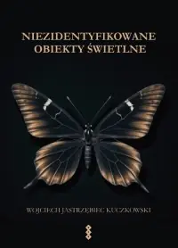 Ekspresowa dostawa Niezidentyfikowane obiekty świetlne