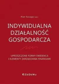 Nowy Indywidualna działalność gospodarcza