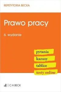 Wyjątkowa oferta Prawo pracy. Pytania. Kazusy. Tablice. Testy online