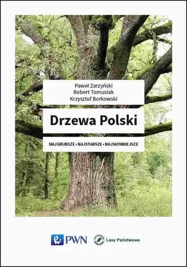 Rabat Drzewa Polski