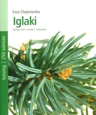 Popularny Iglaki