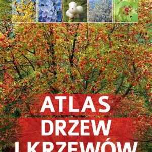 Taniej ATLAS DRZEW I KRZEWÓW