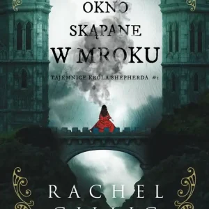 Okno skąpane w mroku Bestseller