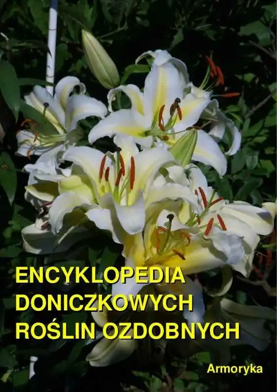 Encyklopedia doniczkowych roślin ozdobnych Darmowy zwrot